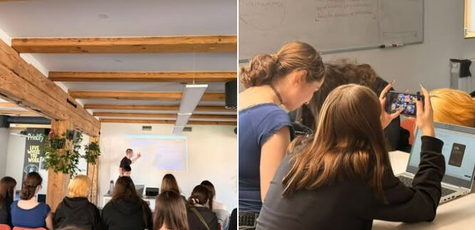 stem.jpg